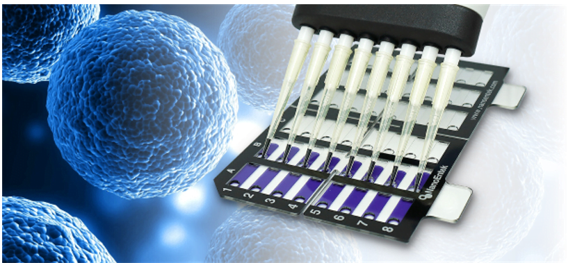 Eve A High-Throughput Automated Cell Counter 2 download 3