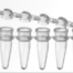 PCR TUBE CAPS ATTACHED .2 mL 8 Wells Capacity: 200uL 125 strips per bag/10 bags per case
